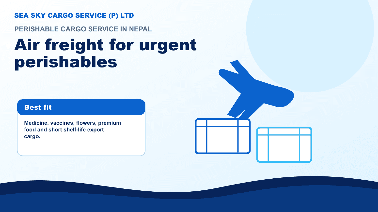 Perishable cargo cartons loaded for air freight with cold chain packaging and airport handling