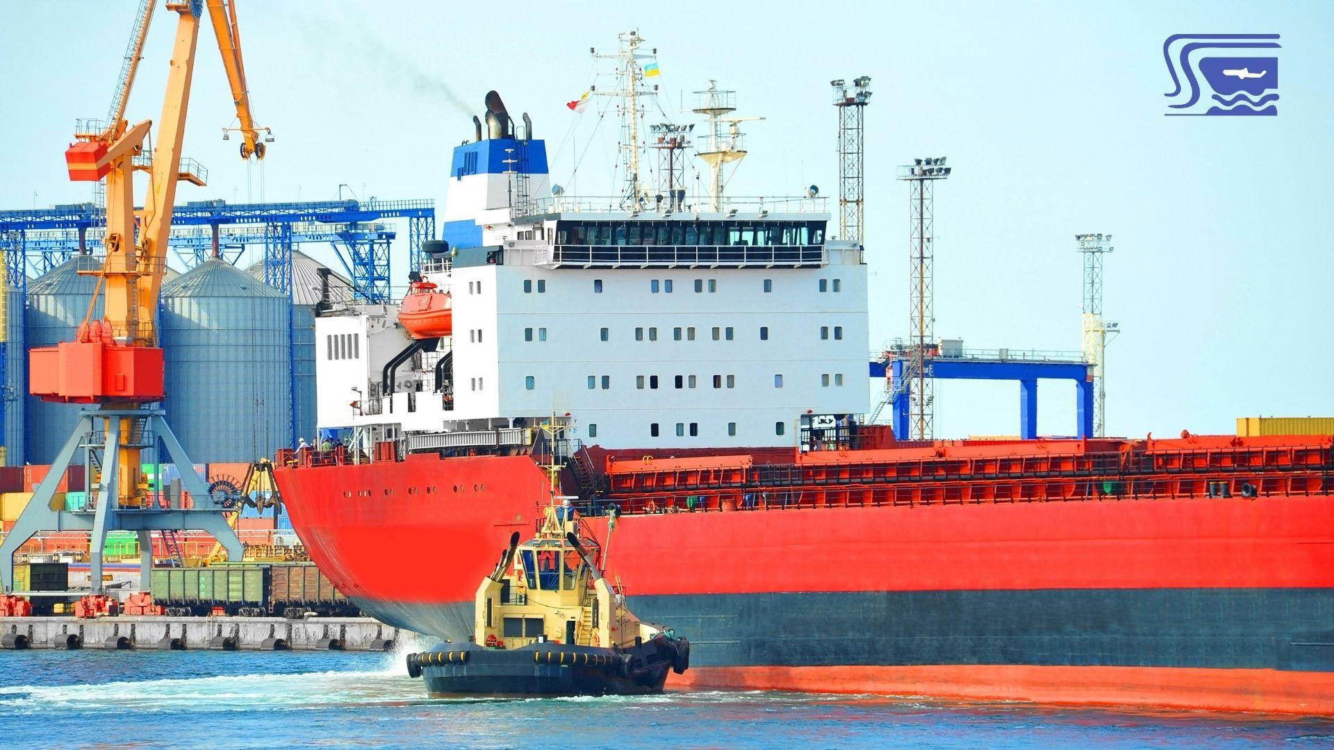 Bulk Cargo Shipping for Nepal and Bhutan: Road, Rail, and Port Solutions by Sea Sky Cargo Service