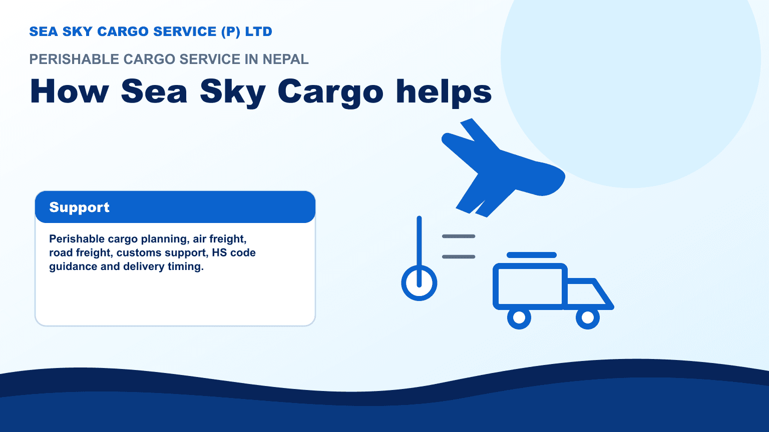 Sea Sky Cargo team planning perishable food medicine cold chain route documents and delivery
